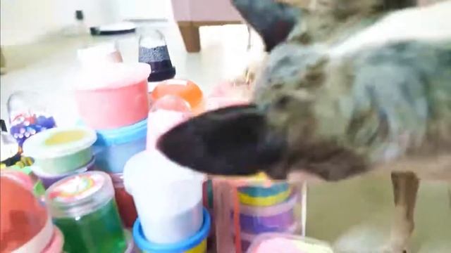 Слаймы и домашние животные. Огромные лизуны! смотреть онлайн