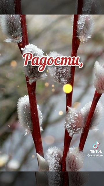 всех с вербным воскресеньем. и подписчиков 127.