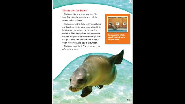 "Talk About Smart Animals" Read-Aloud смотреть онлайн