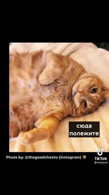 как бороться с ленью смотреть онлайн