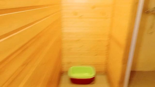 Сняла домик в лесу в Ленинградской области / Баня, ватрушки, сосновый бор и кровать под крышей смотреть онлайн