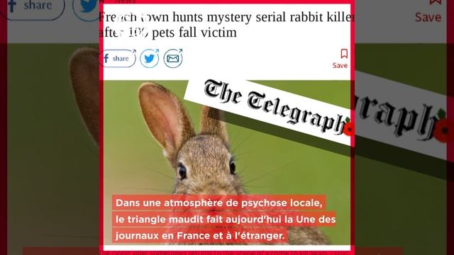 VRAIMENT ATROCE : Un Serial Killer de lapin ! смотреть онлайн