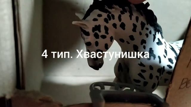 Типы лошадей Шляйх. Карал~ смотреть онлайн