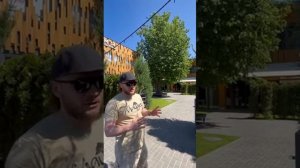 Вылечили липу от стволовой гнили и вредителей. Дереву более полувека!