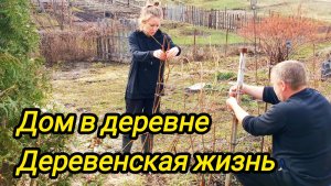 Из города в деревню | Дом в деревне | Деревенская жизнь | Сельские дела