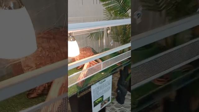 Как провести выходные с детьми