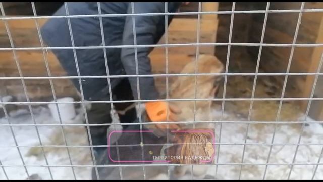 Обход и общение каждый день смотреть онлайн