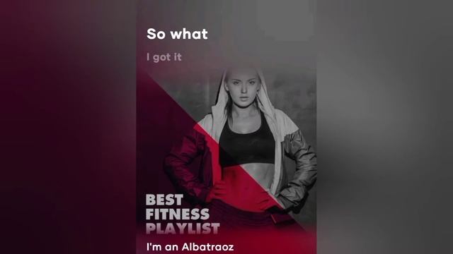 I'm an albatraoz song lyrics tx5musicYT смотреть онлайн