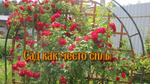 Сад, как место силы