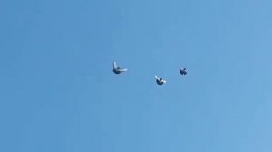 Летите Голуби (песня)