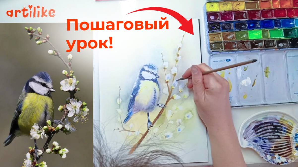 Рисуем синичку на ветке вербы. Пошаговый урок по акварели от школы Артилайк смотреть онлайн