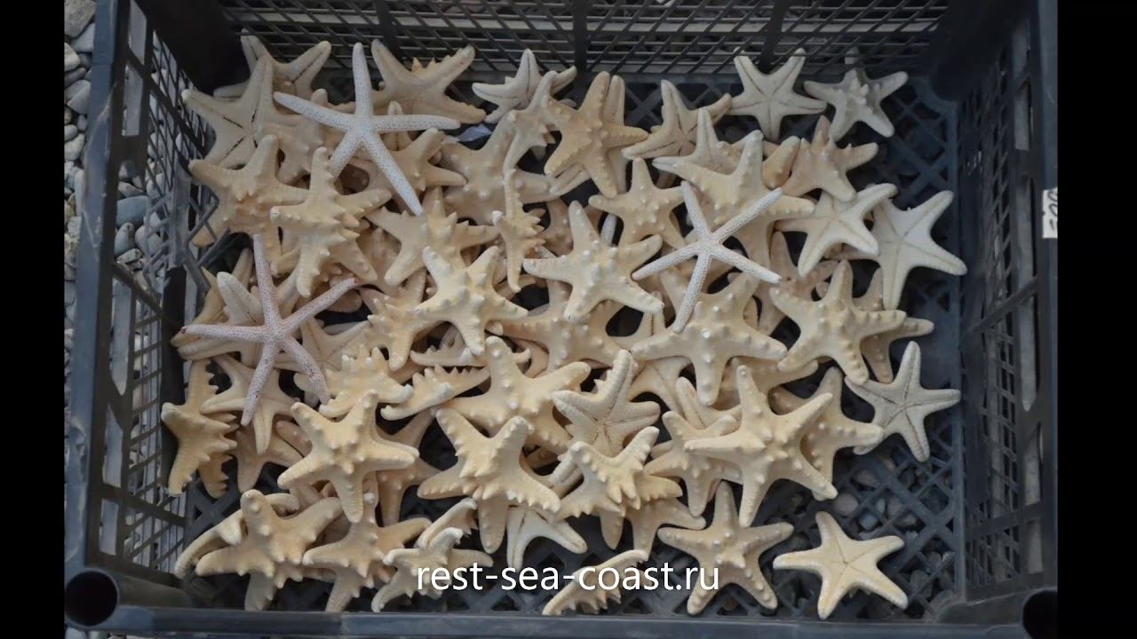 Какой подарок привезти с Голубицкой смотреть онлайн