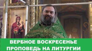 Вербное воскресенье. Проповедь на Литургии. Священник Валерий Сосковец