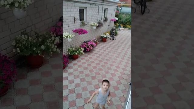Мой цветник с балкона смотреть онлайн