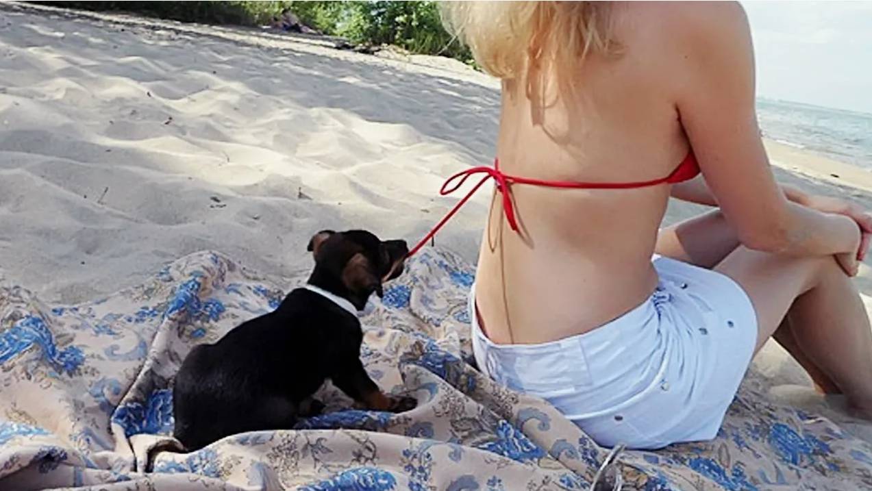 Я РЖАЛ ДО СЛЕЗ 😂 5 Минут ОТБОРНЫХ Русских приколов 2024 Смешные видео - Лучшие ПРИКОЛЫ смотреть онлайн