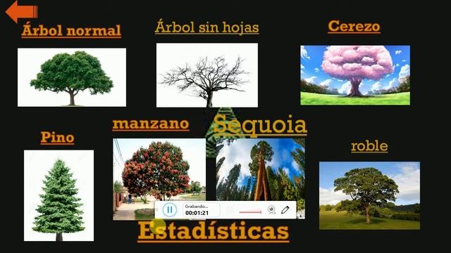 simulador de arbol actualisacion 1.5 sequoia nuevo pino y arreglo de bugs смотреть онлайн
