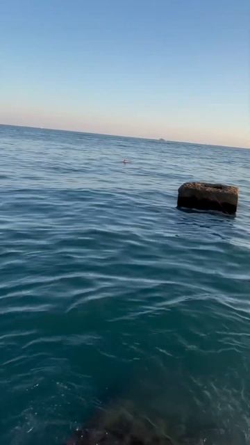 Клюнула нереальная рыбина! Еле достал 😨. Рыбалка на море #море #fishing #спиннинг #сочи #minoga смотреть онлайн
