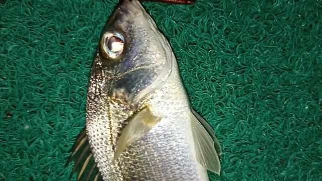 Хрюндель смотреть онлайн