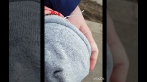 Едем в деревню с Басиком
прогулка/почему Басик так одет😱