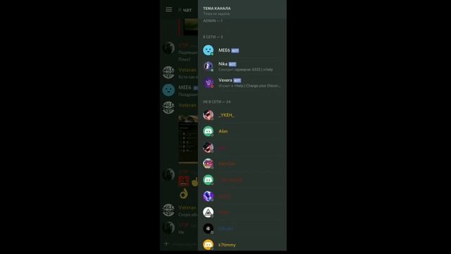 Мой Дискорд сервер смотреть онлайн