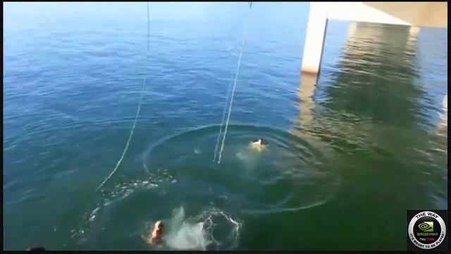 Улетная подборка приколов