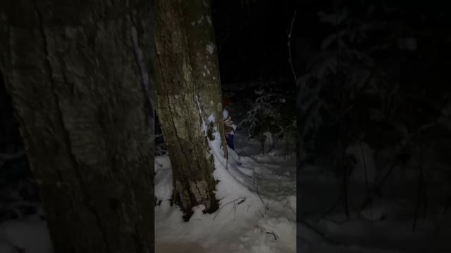 Требую весь сезон