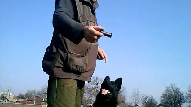 поясню за... апортировку .часть 2