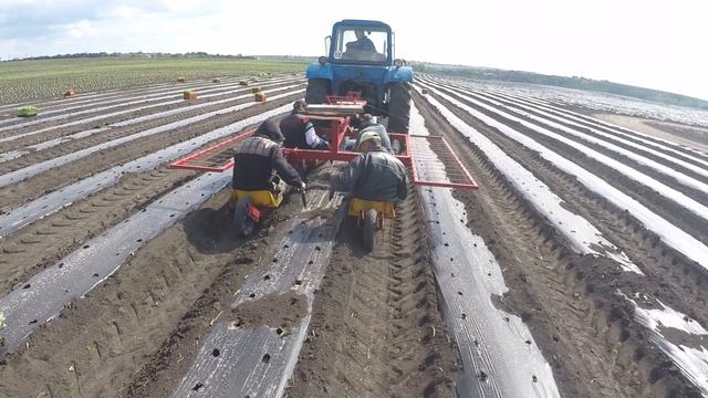 Посадка 2016 смотреть онлайн