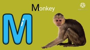 Phonic song with Two Words - A For Apple -ABC Alphabet song with sound for kids/childrens