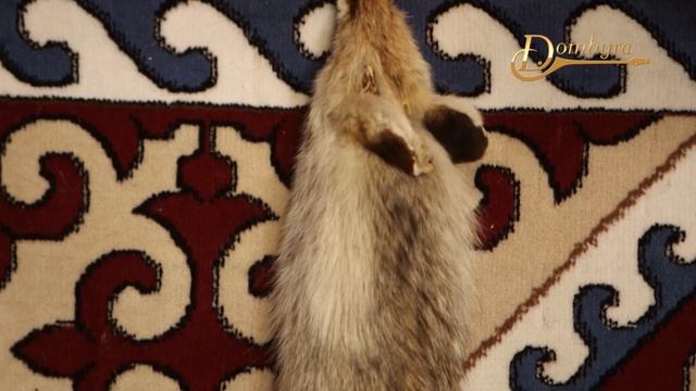 Мұқаш Таңғытұлы - "Таңғыт" Таңғыттың күйі смотреть онлайн