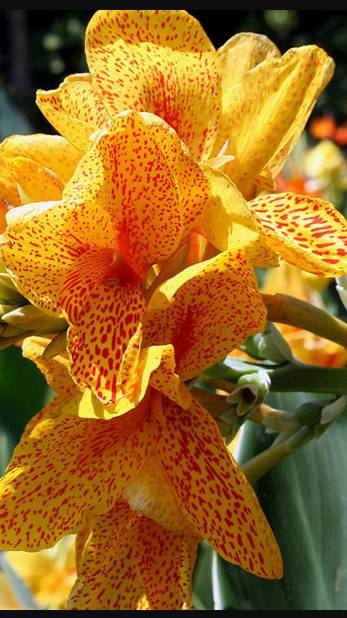 покупка в интернете смотреть онлайн