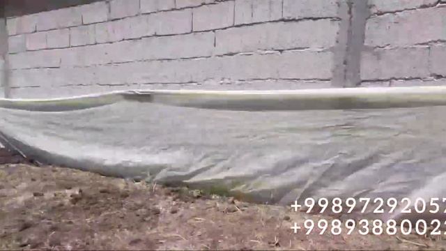 Kaliforniya chuvalchangi ga go'ngni yuvmay berish tartibi biogumus buxoro калифорния чувалчанги смотреть онлайн