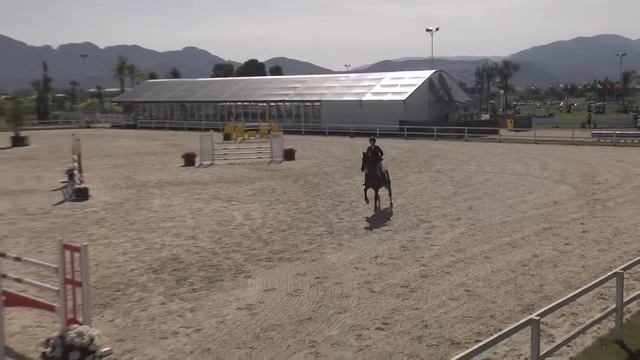 CALLE - Nina Barbour - Bronze 4 - 1,40m - Valencia (25.10.2014) смотреть онлайн