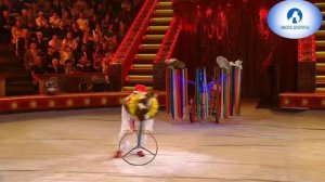 Видео 2. Выступление Куклачёва Ю.Д.