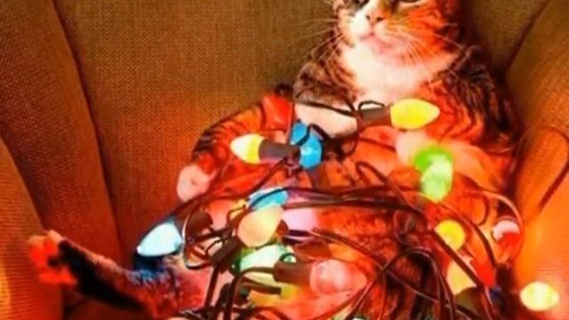 Наступление зимы смотреть онлайн