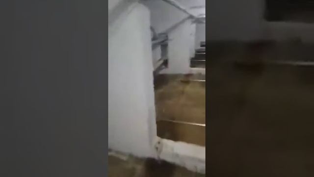 Линейный бетононасос в москве заливка 28.03.2018г смотреть онлайн