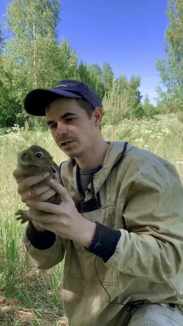 ДИКИЙ ЛЕСНОЙ ЗВЕРЬ😌 смотреть онлайн