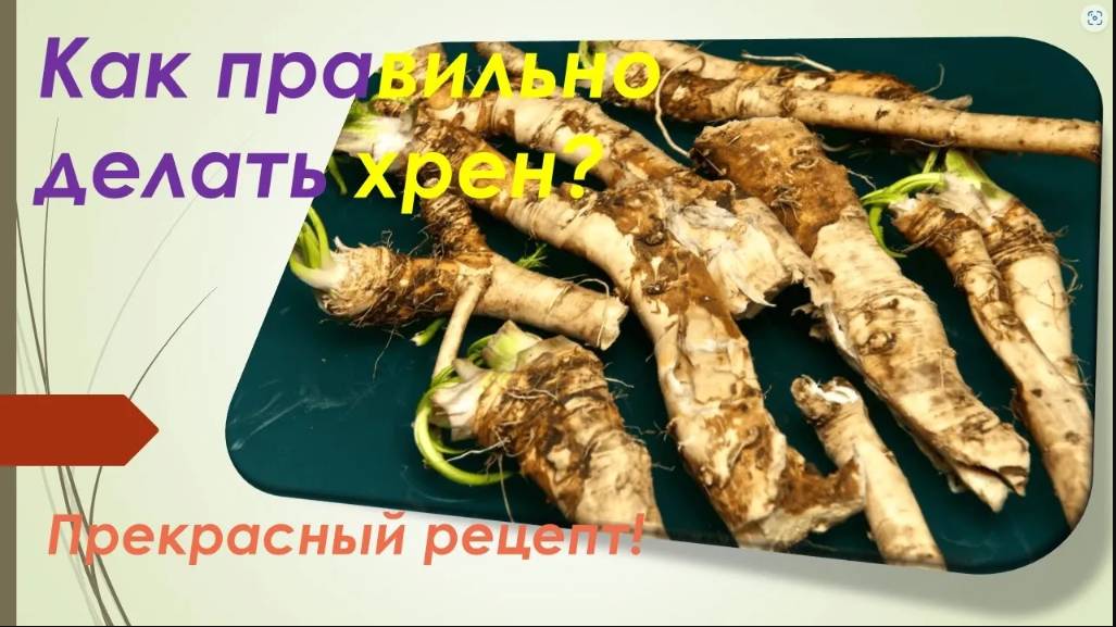 Как готовить ХРЕН? Оригинальный рецепт приготовления хрена. смотреть онлайн