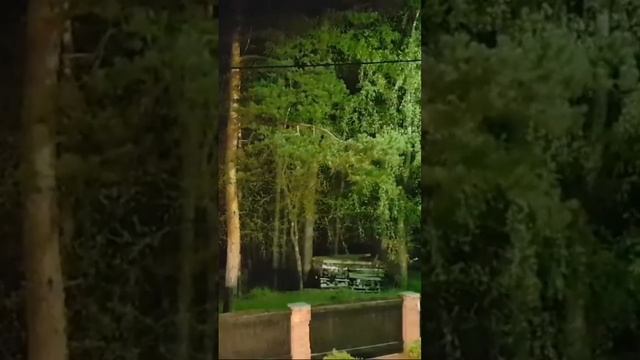 Какое Ты Дерево по Рождению.,,Водолей"Инга Хосроева. смотреть онлайн