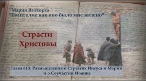 Глава 613. Размышления о Страстях Иисуса и Марии и о Соучастии Иоанна