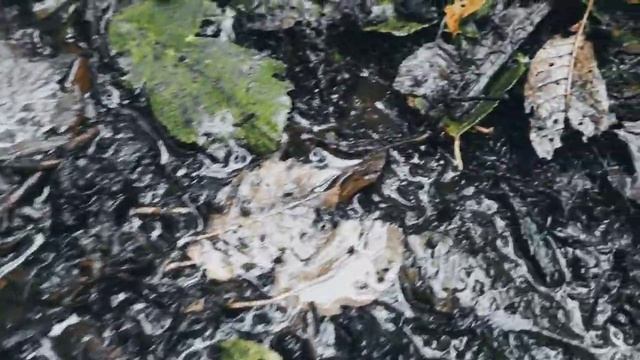 VID 20220920 183043 Звёздный хоровод (К. Бальмонт)...Павел Васильев Лахтинский смотреть онлайн
