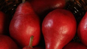 ГРУША КАРМЕН - ПЕРВОЕ ПЛОДОНОШЕНИЕ ДЕГУСТАЦИЯ В ПИТОМНИКЕ ДИВНЫЙ САД