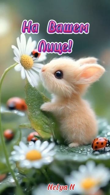 Доброе утро. Добрый вечер. ВидеоОткрытка на каждый день смотреть онлайн