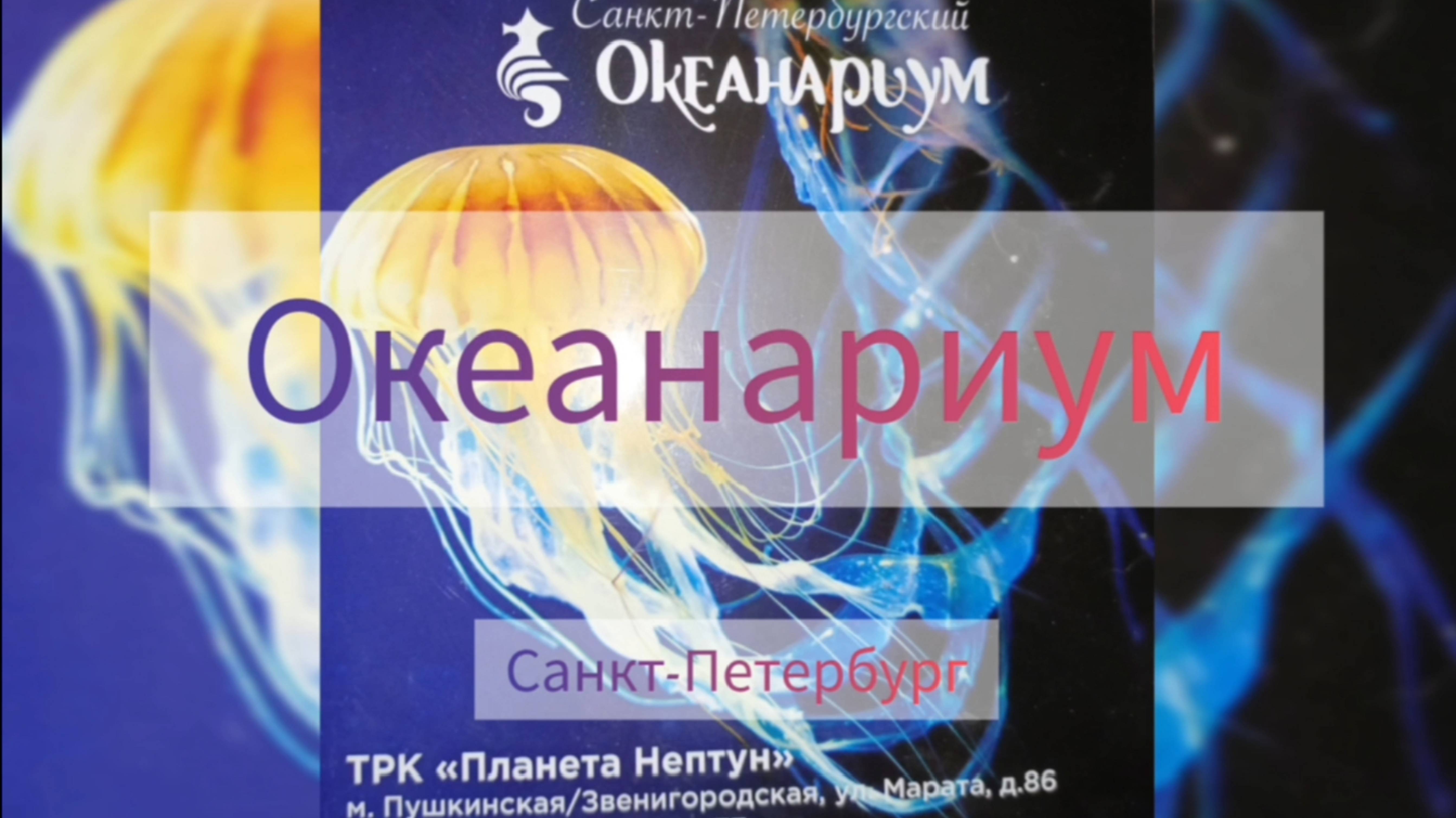 Океанариум. Санкт-Петербург. Удивительный подводный мир. смотреть онлайн