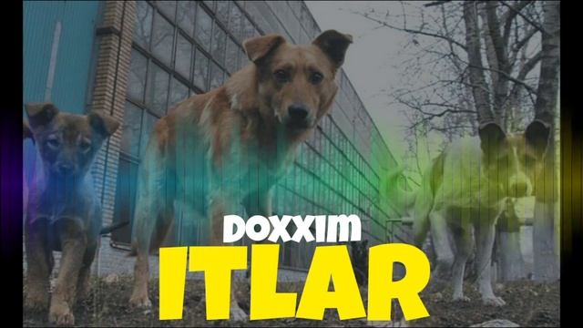 Doxxim - Itlar🔥 (Premyera 2021)