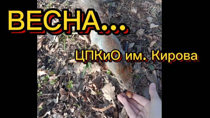 Весна на Елагином острове, СПБ - ЦПКиО им. Кирова смотреть онлайн