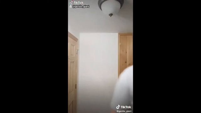 Nice cock Nekomaru Nidai смотреть онлайн