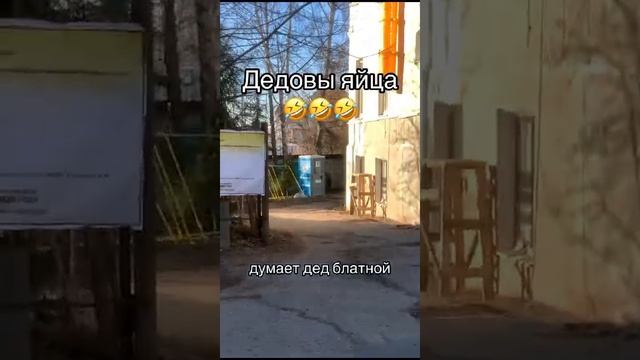 Дедовы яйца