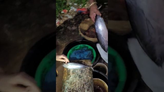Ночной рыбный рынок в Арамболе. Покупаем тунца и креветок. Вышло на 400 рупий. #fish смотреть онлайн