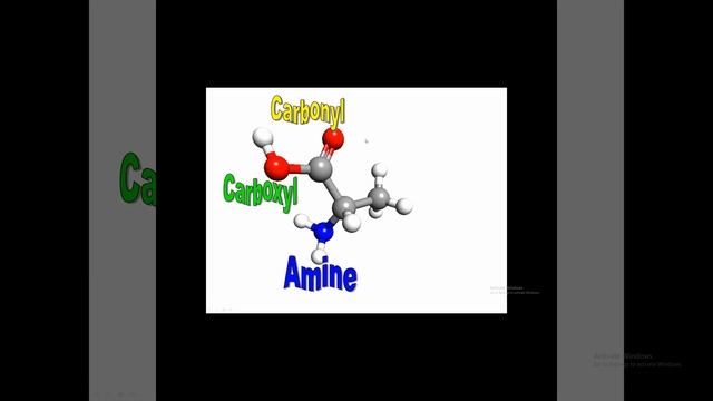 amino acids and proteins movie смотреть онлайн